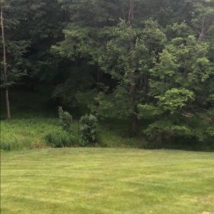 Meet your Posher, Mona